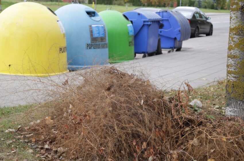  Karštoji linija. Kaip susimokėti mokestį „už šiukšles“?