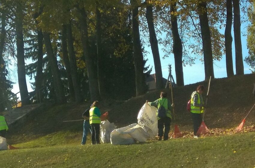  Lapų grėbimui – didelės pajėgos