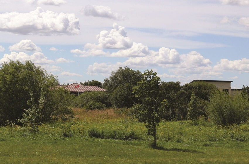  Netvarkantiems sklypų – baudos