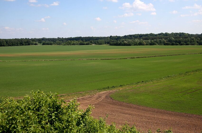  Pradedamas pasėlių deklaravimas: laukia naujovės, ūkininkai baiminasi chaoso