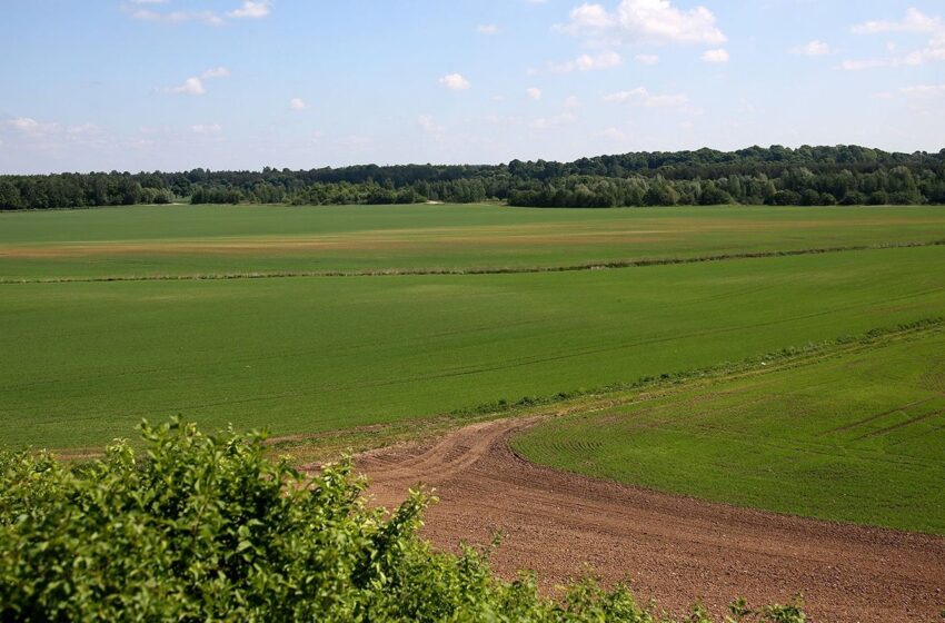  Šį pavasarį mineralinio azoto šalies dirvožemyje yra daugiau