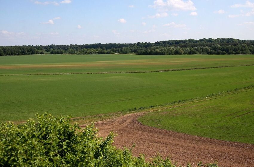  Garsių Kėdainių krašto ūkininkų ir senjorės ginčas dėl žemės pasiekė teismą