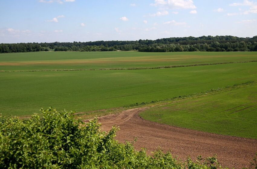  Prasidėjo pasėlių deklaravimas