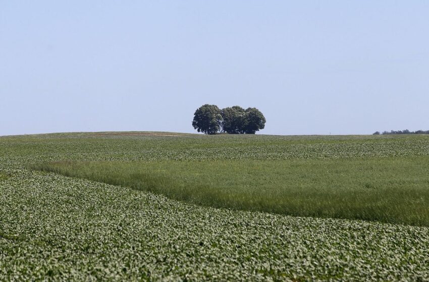  Lančiūnavos apylinkių vandenyse fiksuotas užterštumas pesticidais