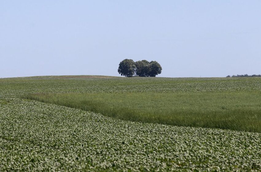  Kvedarų ūkyje – stambūs pokyčiai