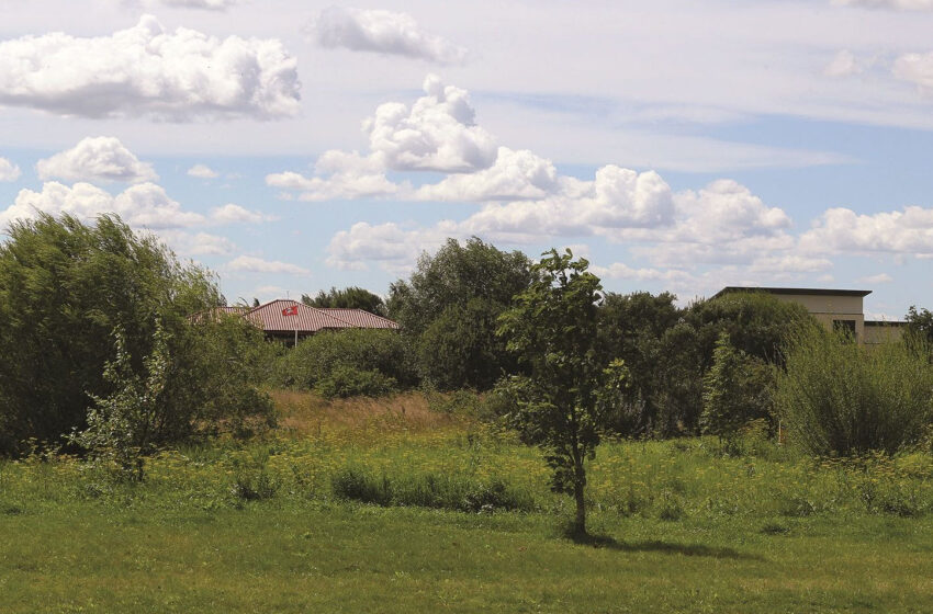  Neprižiūrintiems žemės – nemenkos baudos