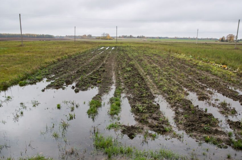  Nuo liūčių nukentėjusiems žemdirbiams – 9 mln. eurų parama