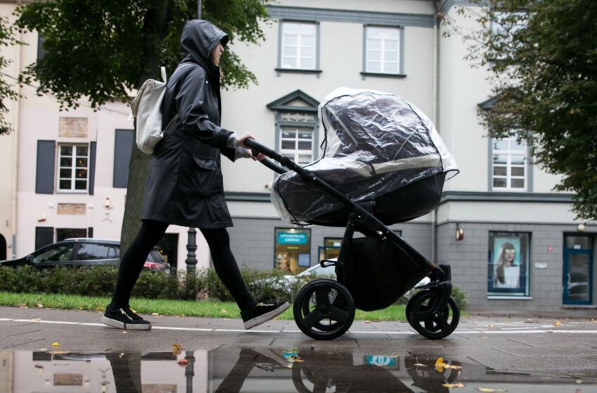  Netekusioms pajamų moterims siūloma palankesnė motinystės išmokų  skaičiavimo tvarka