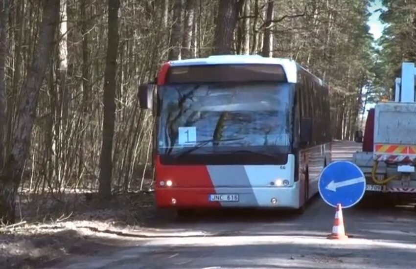  Neliks Justinavos bėdos – griūvančių medžių (video reportažas)