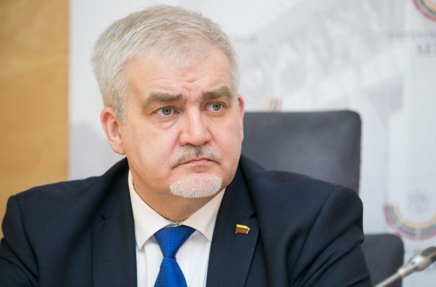  LR Seimo nario Dariaus Kaminsko ataskaita už atliktus darbus
