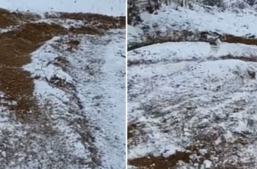  Keturračiais išvagojo Beinaičių paplūdimį