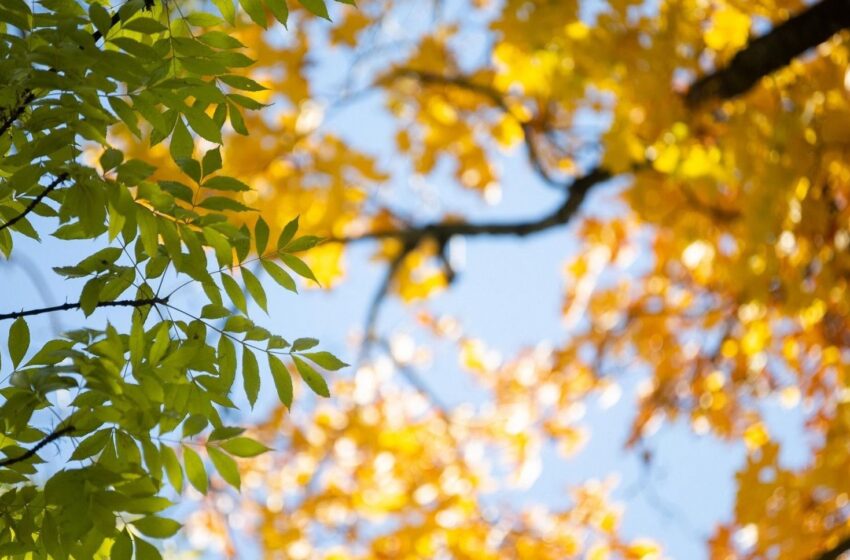  Lietuvoje fiksuoti šilumos rekordai – sekmadienį temperatūra perkopė 20 laipsnių