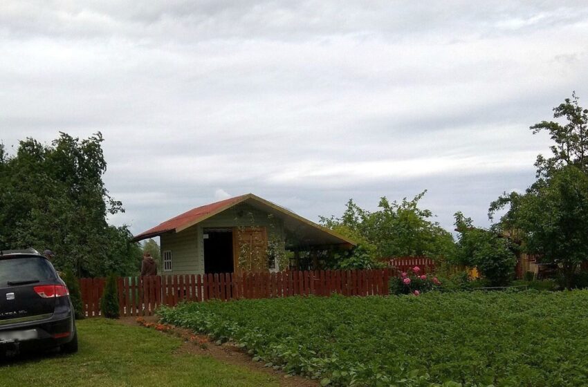  Vagių grobis: bulvės, kopūstai, kalafiorai ir obuoliai