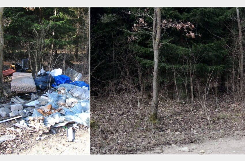  Viešumas padėjo – šiukšlintojai susitvarkė
