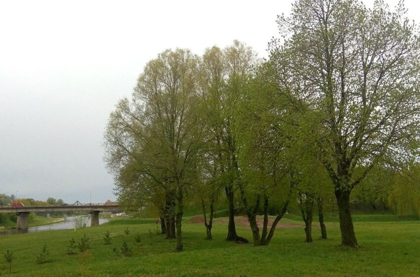  Sutvarkyta Smilgos ir Nevėžio upių santaka