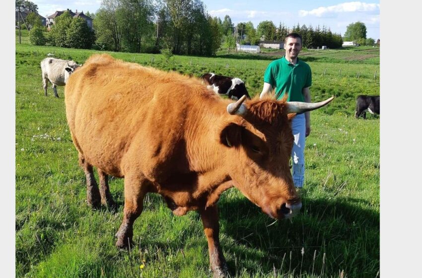  Ūkį kuria, investuodami užsienyje uždirbtus pinigus