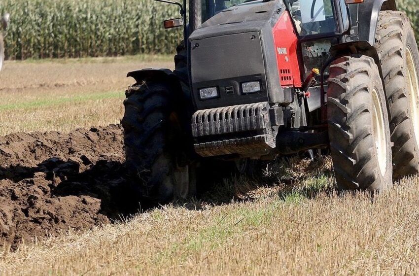  Netinkama ūkinė veikla sumažins derlingumą visoje šalyje – brangs žemės ūkio produkcija