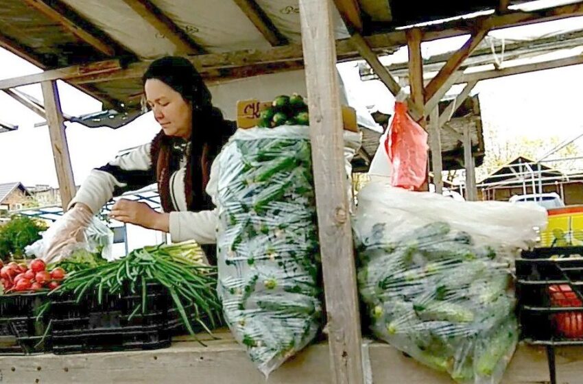  Turguje pavasarinių daržovių ir žalumynų vajus