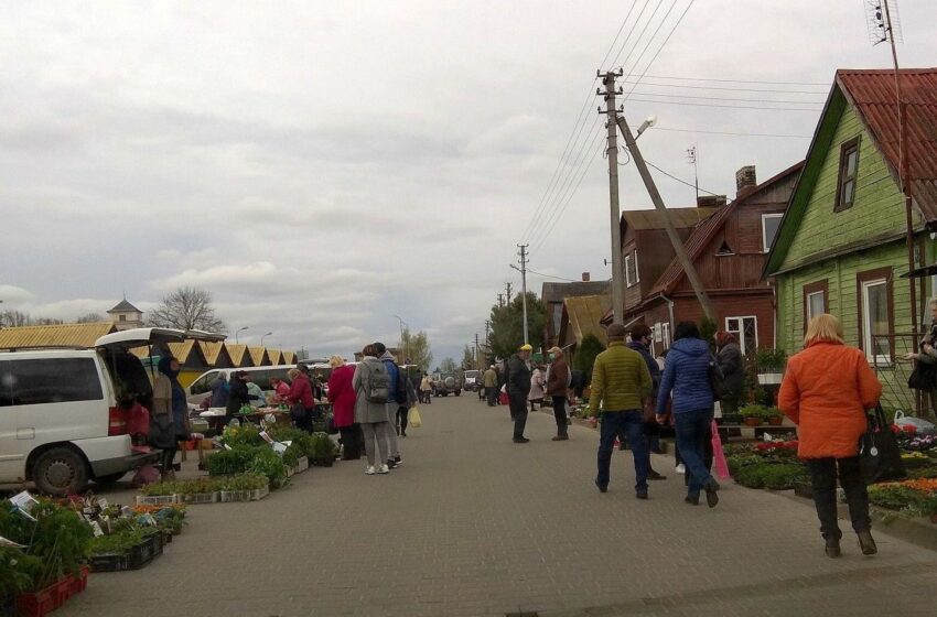  Turguje – pomidorų, agurkų ir paprikų daigelių rojus