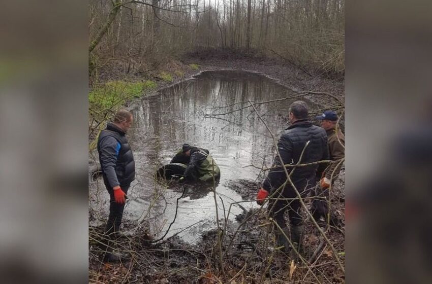  Išvalė miško tvenkinį ir prileido žuvų