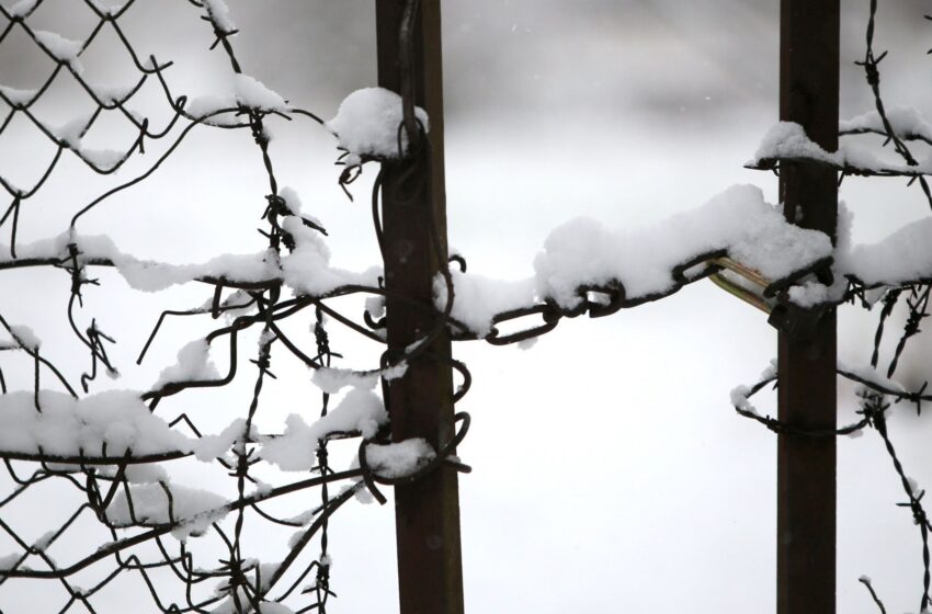  Pavogta Kėdainių rajono miškų urėdijos tvora