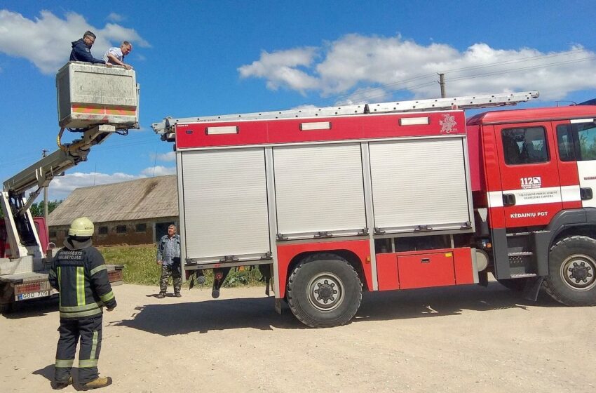  Ugniagesiai gelbėjo ir kačiuką, ir savivaldybės tarnautojus