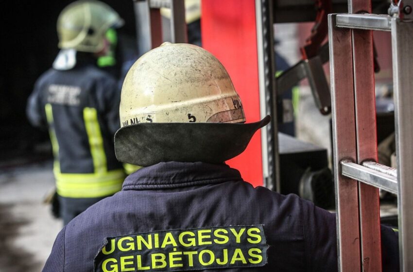  Po viaduku degino laidus: išgirdę gelbėtojus nešė kudašių