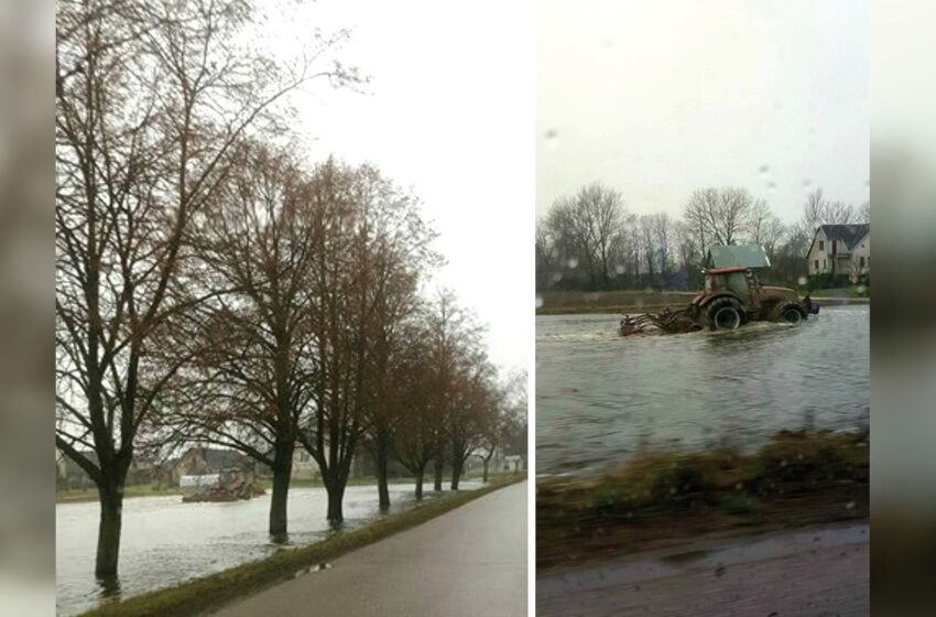  Žemės ūkį kelia, karpius ketina auginti ar… techniką plauna?