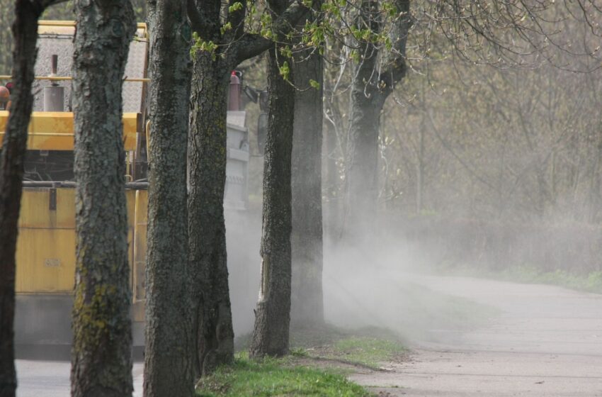  „Ecoservice projektai“ užbaigs pavasarinį miesto valymą