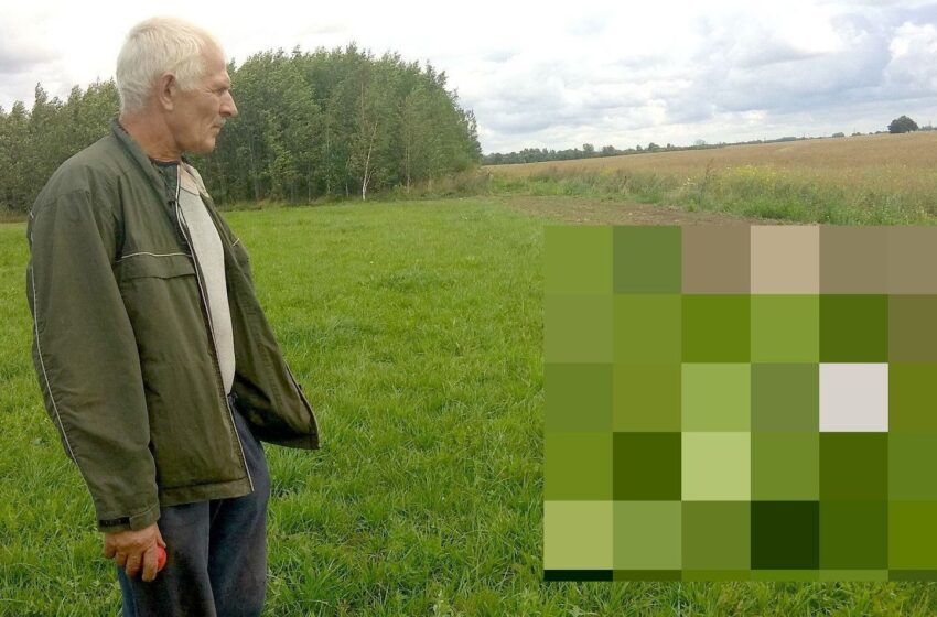  Kėdainių rajone siaučia vilkų gauja 