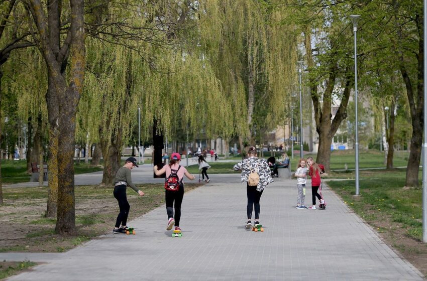  Ekspertai pateikė išvadas dėl medžių genėjimo Vytauto parke