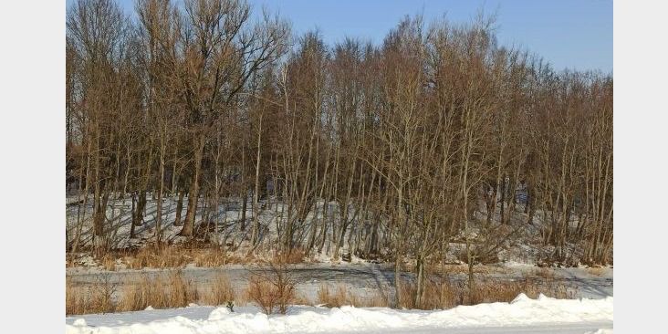  Didėja teršalų koncentracija ore: vakare patalpų patariama nevėdinti