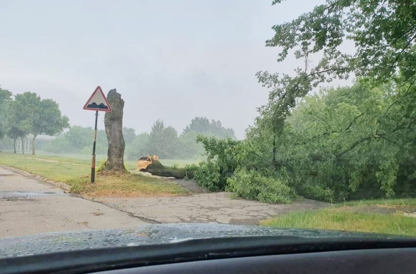  Stiprus vėjas vertė medžius, laužė šakas