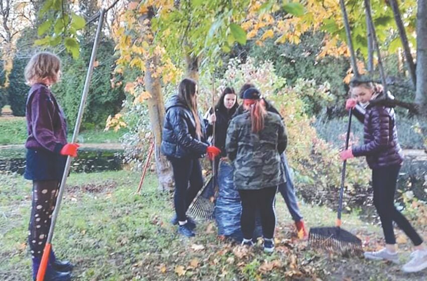  Krakiškiai ėmėsi gaivinti „Meilės salą“