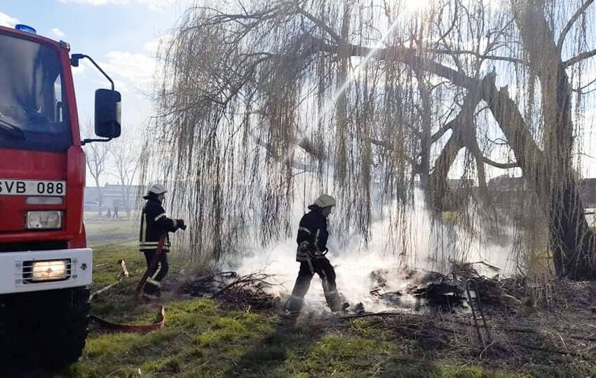  Mieste padegta šakų krūva, buvusiame aerodrome – krūmynai