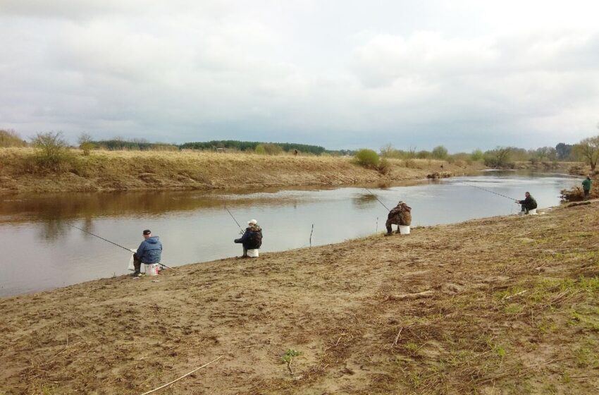  Šeštadienį prasideda lydekų žvejybos sezonas