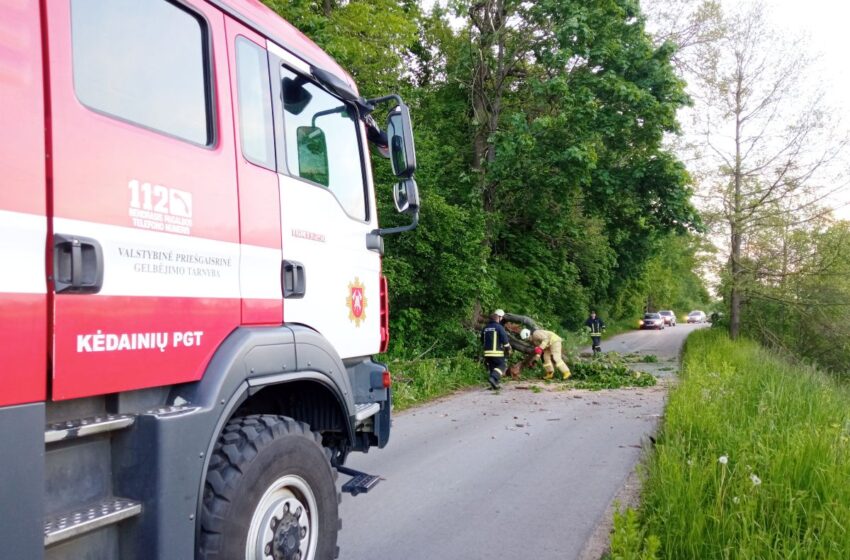  Nuvirtęs medis užtvėrė kelią į sodus