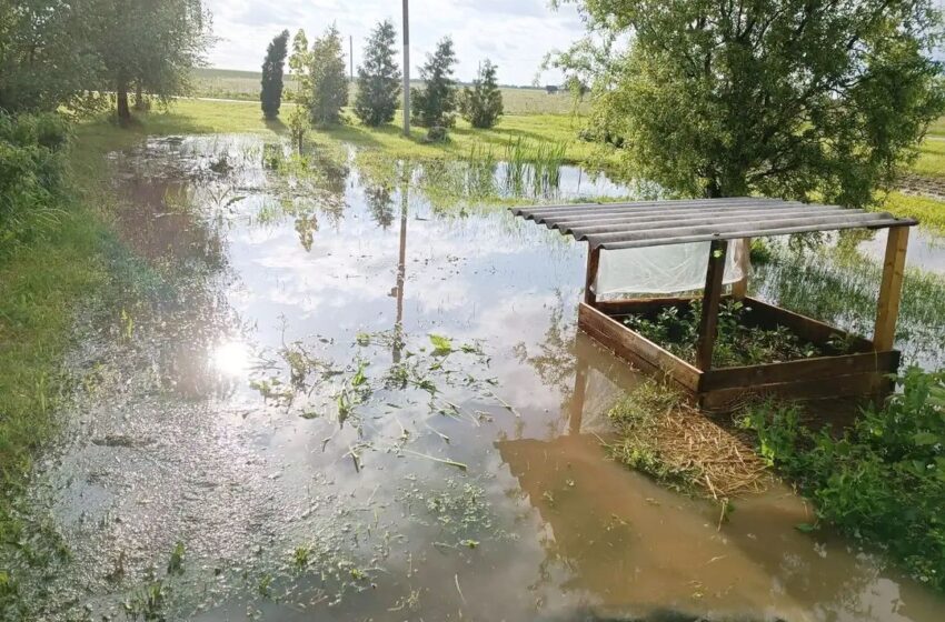  Po lietaus tvino ne tik kiemai, daržai, bet ir namai