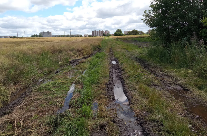  Lauko keliukas ir vėl tapo spąstais greitukei