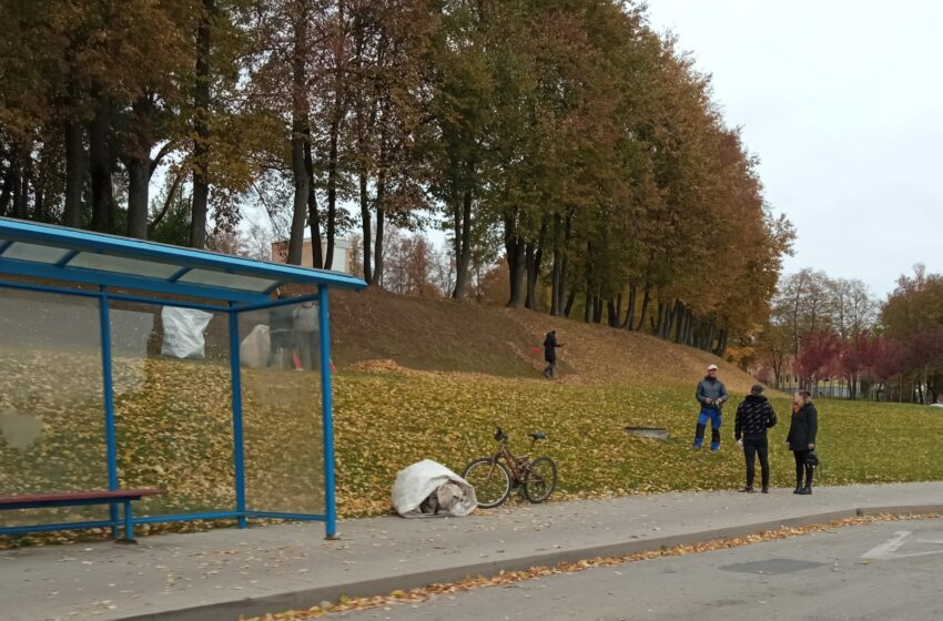  Miesto parkuose, skveruose, aikštėse ir gatvėse grėbiami ir renkami lapai