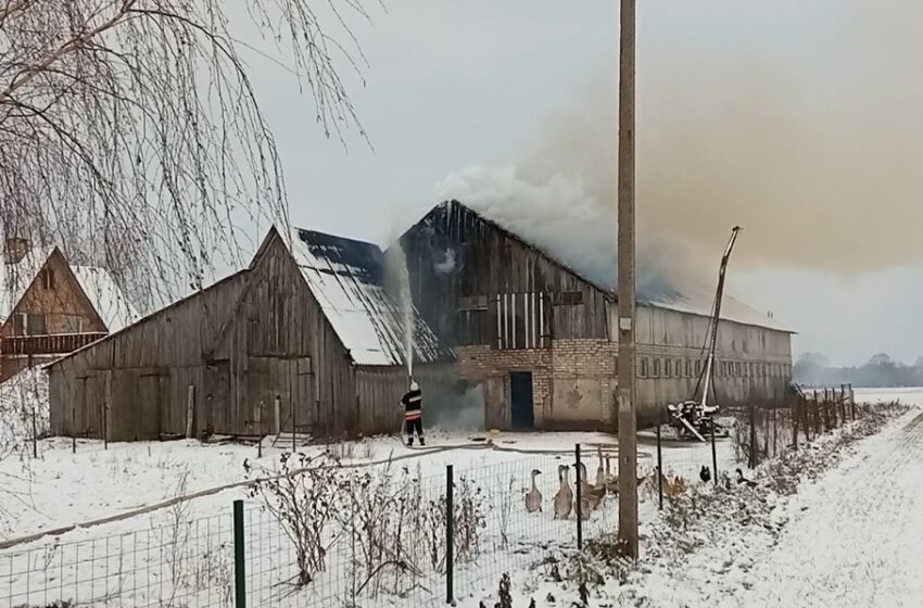  Gaisras Kėdainių rajone: nukentėjo vyras, ugniagesiai gelbėjo pusšimtį paukščių (VIDEO)