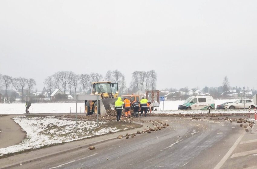  Eismą trikdė važiuojamojoje kelio dalyje pabirę cukriniai runkeliai