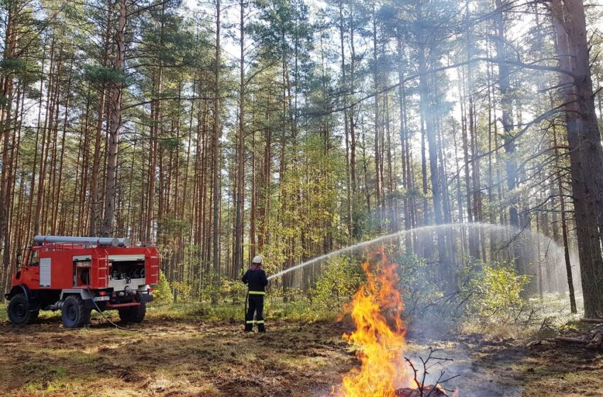  Kovos su žolės degintojais: miškininkai ir ugniagesiai organizuoja bendrus reidus