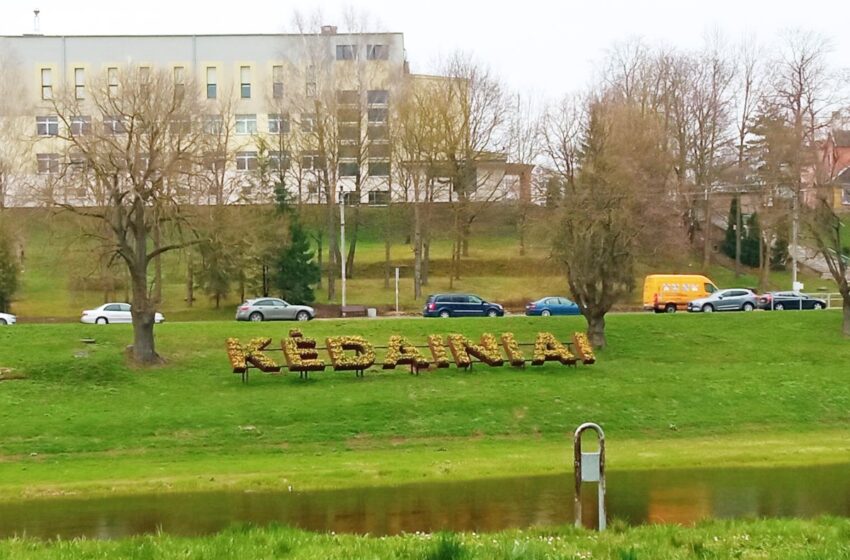  Kėdainiuose jau žydi pirmieji gėlių žiedai