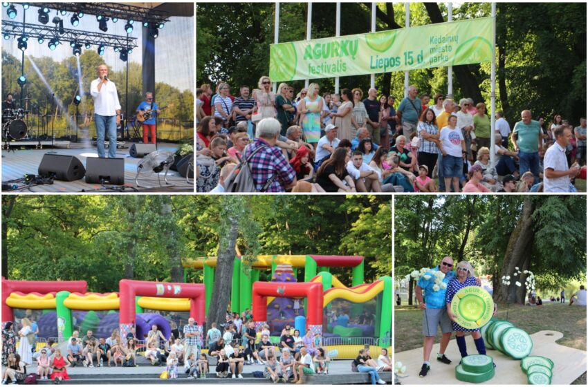  Miesto parkas – sausakimšas: čia šurmuliavo Agurkų festivalis! (FOTOGALERIJA)