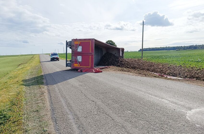  Kėdainių rajone apvirto cukrinius runkelius vežęs vilkikas