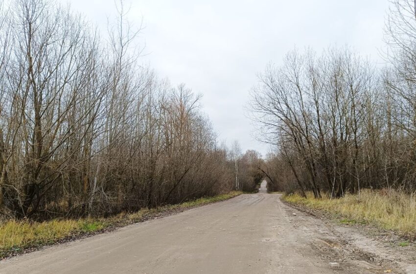  Kraupus radinys Kėdainiuose: miškelyje rasta žmogaus kaukolė ir kaulų fragmentai (PAPILDYTA)