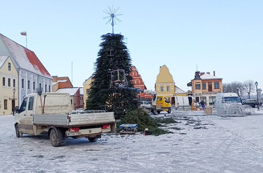  Mieste pradėta statyti pagrindinė Kalėdų eglė (VIDEO)