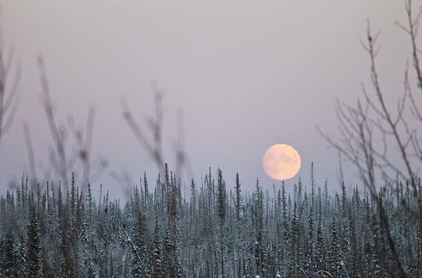  Astrologinė prognozė sausio 15-ajai, pirmadieniui