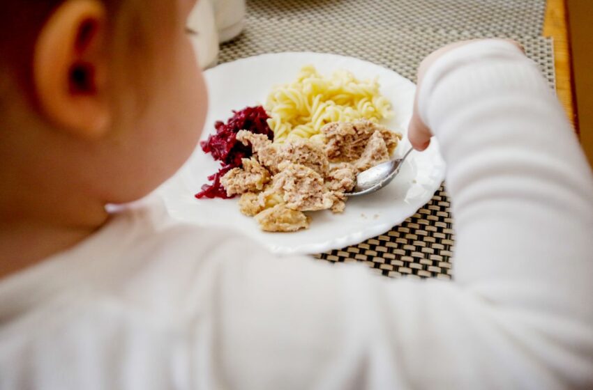  Kėdainių darželiai šiemet pirmąkart gaus paramą ekologiškais produktais